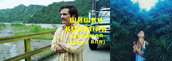 трава Наволоки