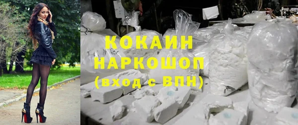 трава Наволоки