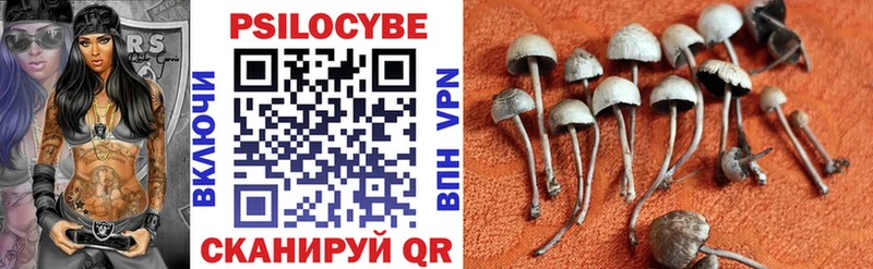 Псилоцибиновые грибы мицелий Луза
